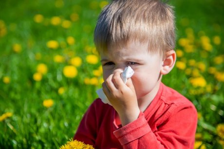 Copiii cu o alergie pot dezvolta mai multe. Ce spun specialiștii