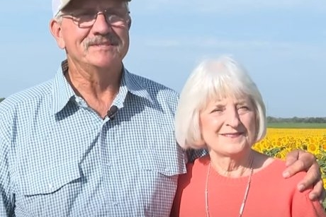 Așa arată iubirea pură! A plantat 1 milion de floarea-soarelui pentru aniversarea celor 50 de ani de căsnicie cu soția lui