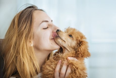 Ce simt câinii când îi pupi și alte explicații care te vor ajuta să îți înțelegi animalul de companie