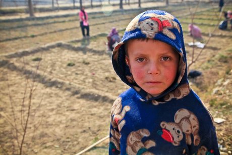 Unde mănâncă două guri, mănâncă și a treia....dar sunt copii în România care mor de foame!