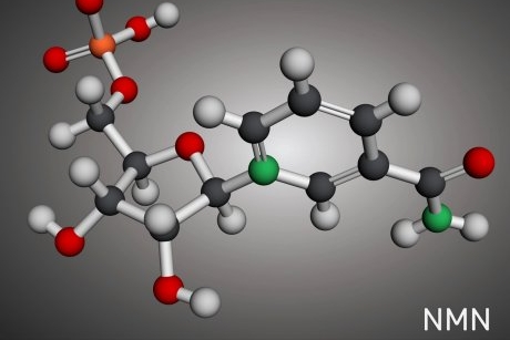 Nicotinamida mononucleotida: beneficii și recomandări