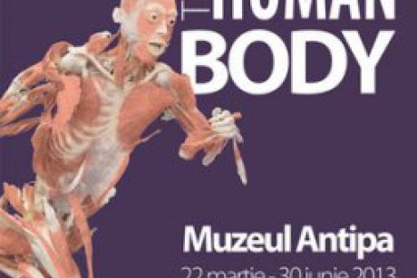 Expozitia The Human Body - Reactie la scrisoare deschisa  adresata Muzeului Antipa de catre asociatia PRO Vita