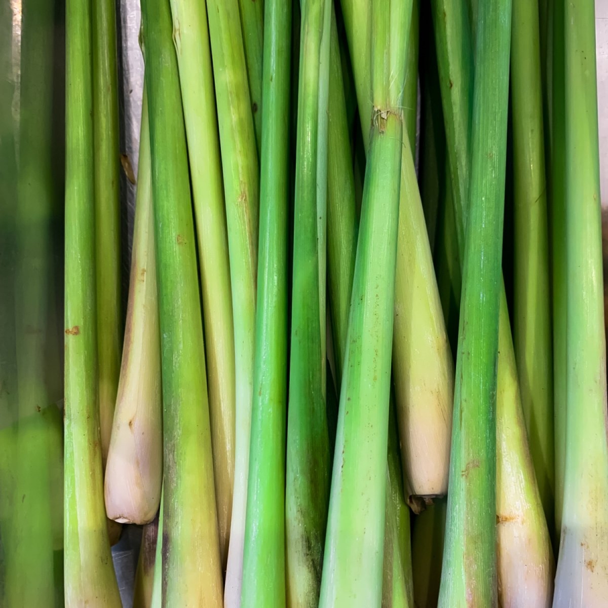 Lemongrass: beneficii și mod de utilizzare