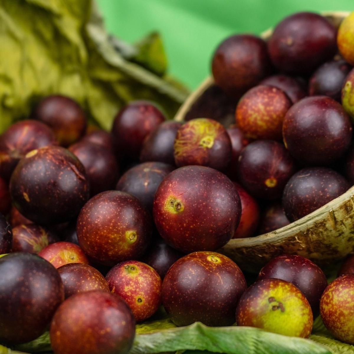 Camu camu: beneficii și idei de consum