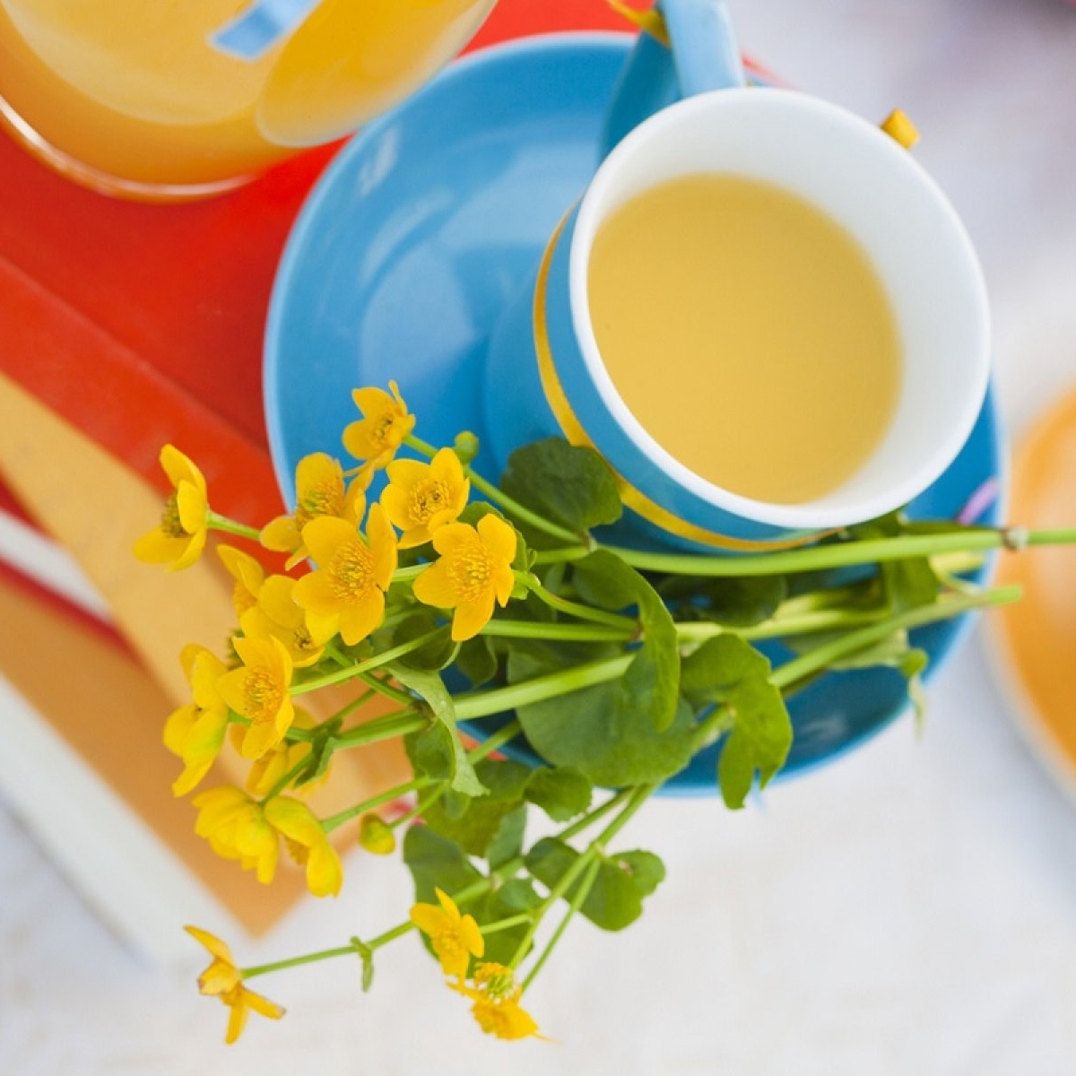 Ceai de untișor: beneficii și mod de preparare