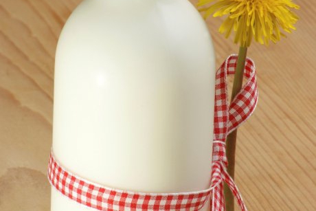 Produse din lapte de capra in alimentatia copilului
