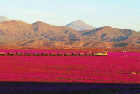 25 fenomene incredibile ale naturii pe care nu le stiai 