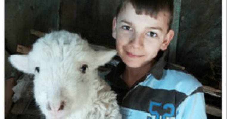 Ajuta o familie cu 13 copii sa aiba un cal si o vaca