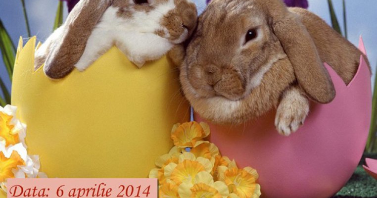 Atelier pentru cei mici: “Copii, zambete si flori” – Aranjamente florale de Paste