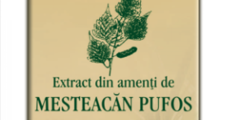 Utilizarea mestecenilor in gemoterapie