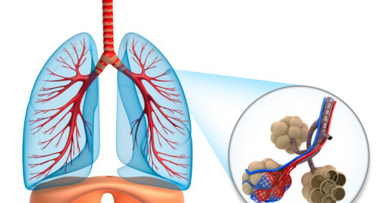 Afectarea pulmonară în cadrul bolilor de sistem