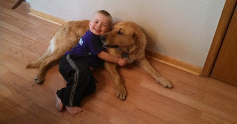 Un copil dat disparut este gasit si salvat de cainele familiei