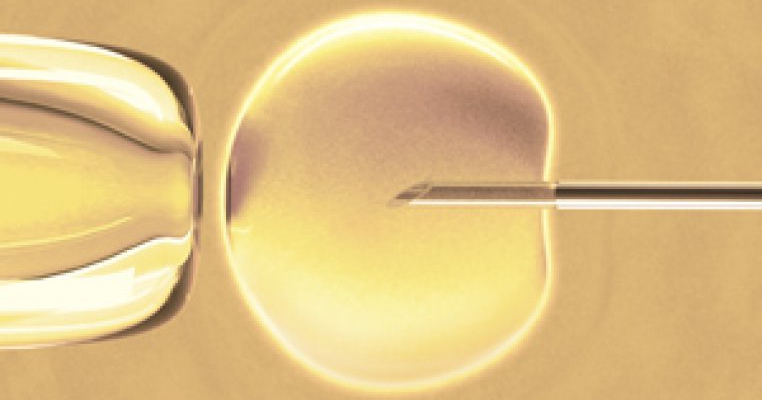 O noua sansa pentru cei care isi doresc copii: fertilizare in vitro gratis