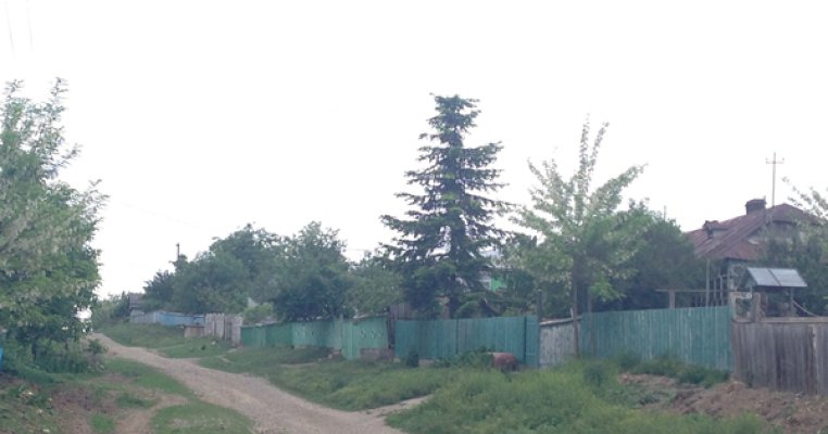 „Zambeste Romania” si Salvati Copiii lanseaza un nou program pentru sanatatea orala a copiiilor defavorizati 