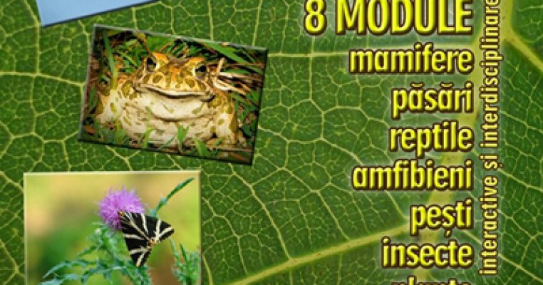 Scoala de vara-Lumea insectelor