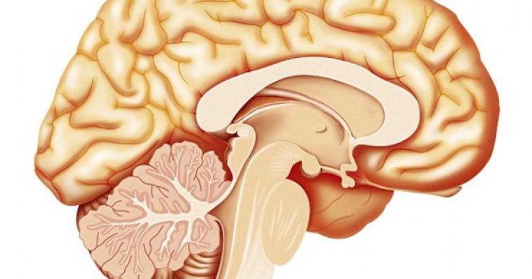 Leziunile cerebrale-cauza aparitiei autismului? 