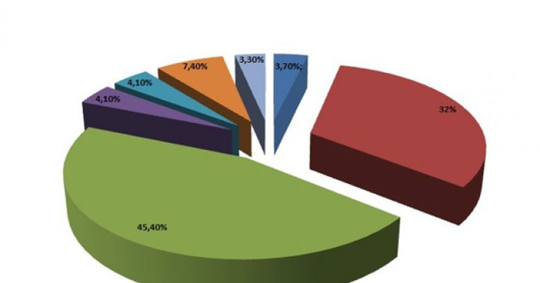 Paduchii de cap – o problema pentru 2 din 10 romani