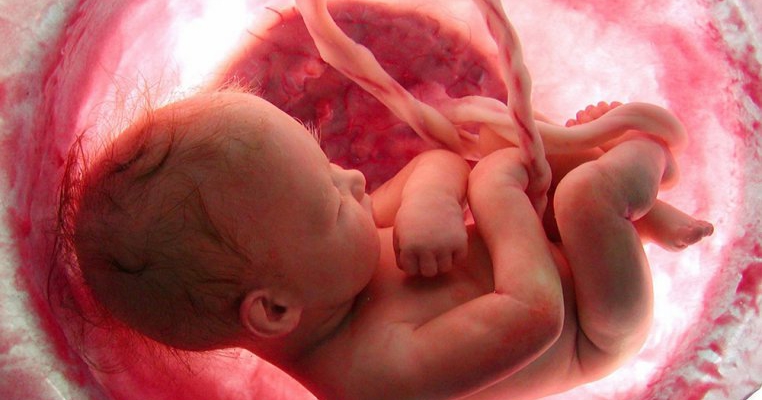 Tu ti-ai manca propria placenta? Afla de ce unele mame o fac!