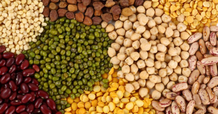 Leguminoasele in alimentatia copilului 