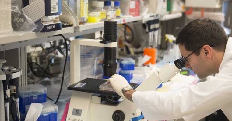 O fetita de 8 ani a descoperit un posibil tratament pentru cancer