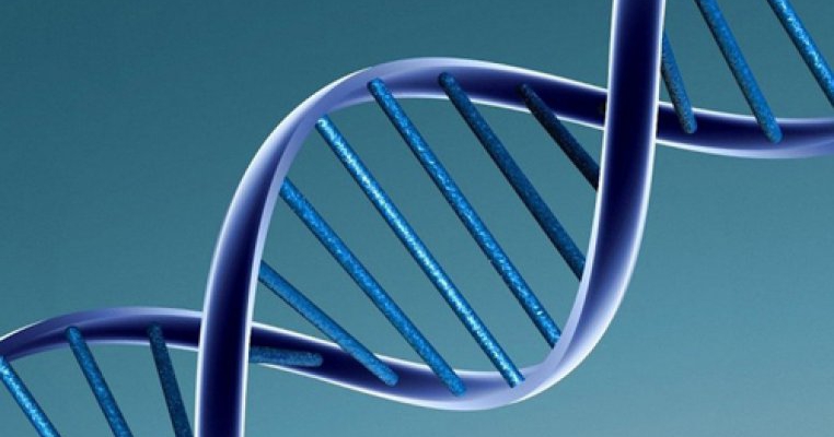 O noua metoda de vindecare a cancerului? 