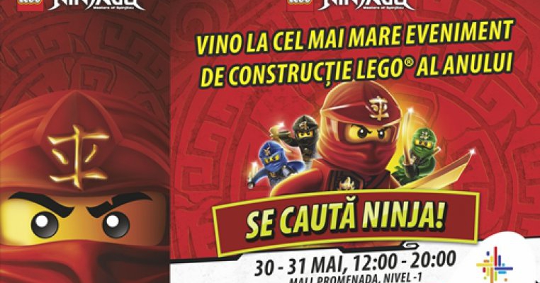 La mall Promenada, copiii se transforma in adevarati ninja, cu LEGO® Ninjago