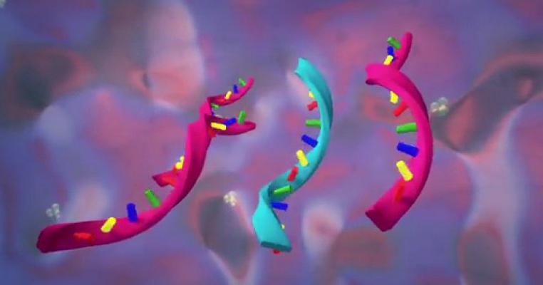 Tratamentul impotriva Ebola urmeaza sa fie testat pe subiecti umani 