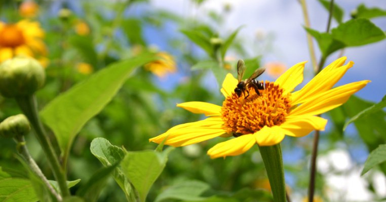 Top 10 produse care protejeaza copilul de insecte pe timp de vara