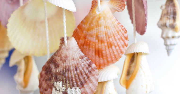 Scoicile-un material ideal pentru a confectiona "handmade-uri" de vara inedite