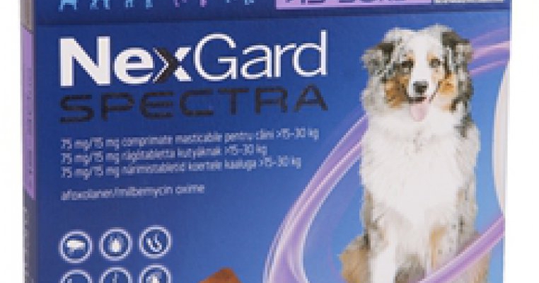  Merial lanseaza in Romania NexGard Spectra si FRONTLINE TRI-ACT