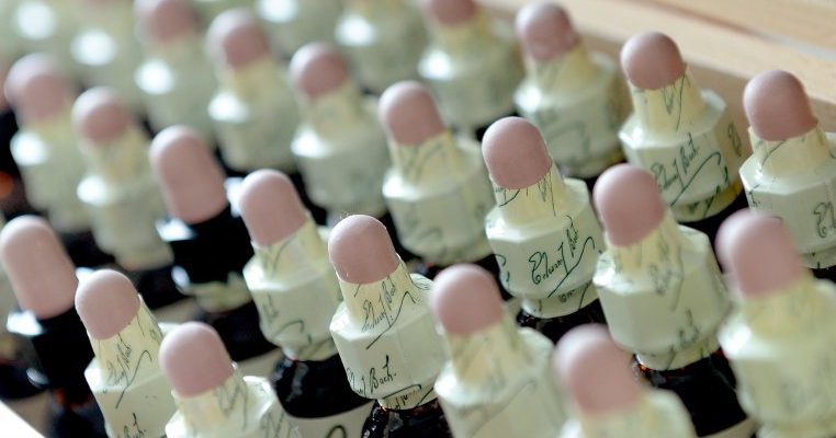 Remediile florale Bach: echilibrare emotionala naturala pentru toti membrii familiei