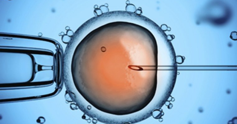 Cauze ce determina infertilitatea 