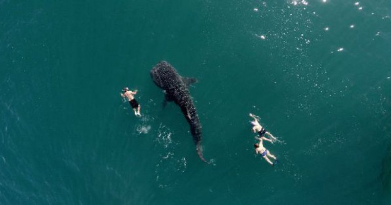 Cele mai frumoase poze facute de drone din 2015