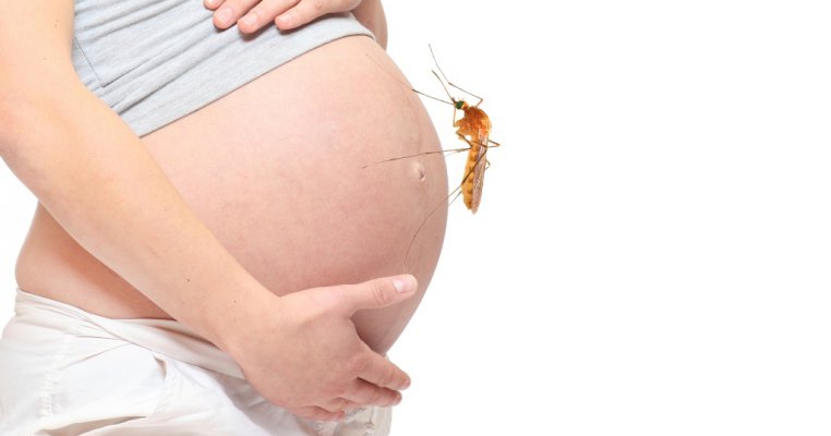 Virusul Zika în sarcină