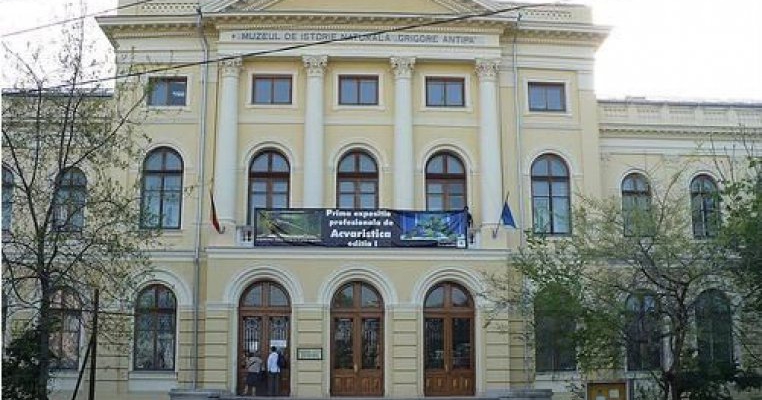 Programele educationale oferite de Muzeul National de Istorie Naturala Grigore Antipa