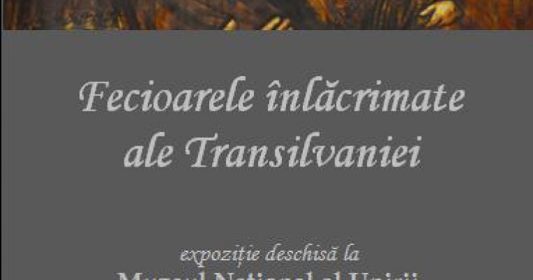 Expozitie: Fecioarele inlacrimate ale Transilvaniei