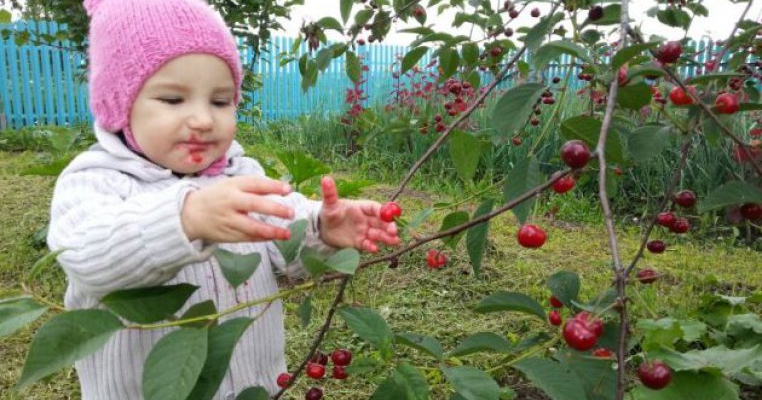 Jurnal de tătic. Cum alegi mâncarea potrivită pentru toată familia