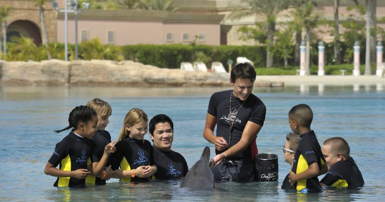 Dolphin Bay Дубай