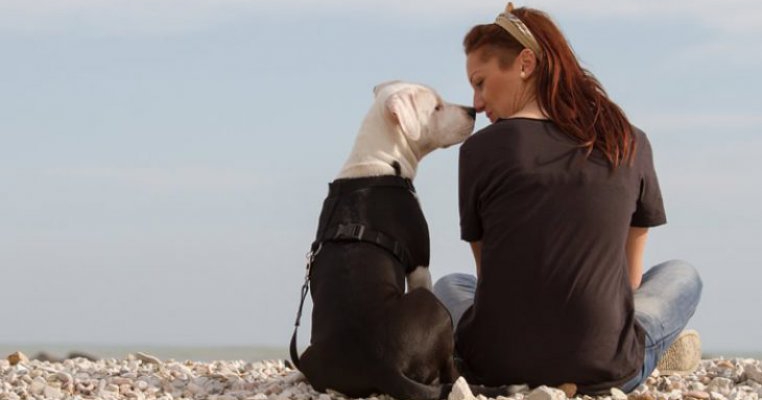 Pupicii animalului tău de companie te pot îmbolnăvi