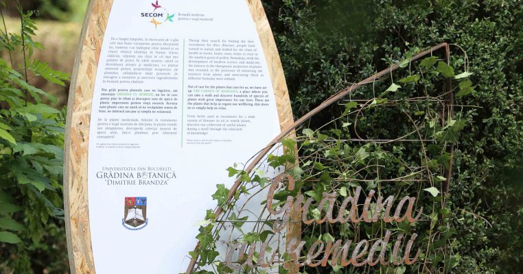 Sănătatea prinde rădăcini în ”Grădina cu remedii”, un proiect marca Secom 