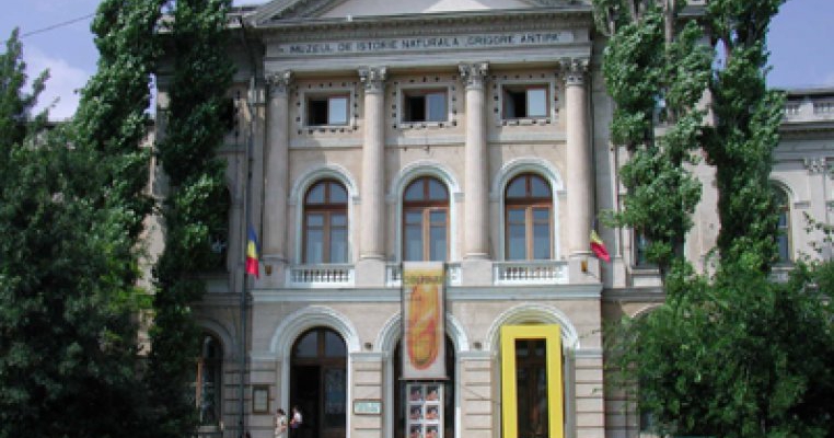 Expozitia cu vanzare de cristale, roci si fosile la Muzeul National Grigore Antipa