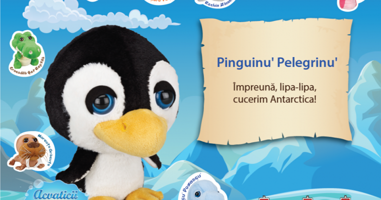 Poveste câştigătoare: Pinguinu' Pelegrinu' cucereşte Antarctica