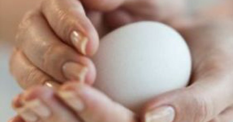 Problemele digestive si fertilitatea