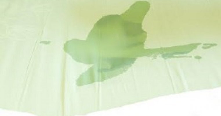 12 remedii naturale la care să apelezi dacă al tău copil urinează în pat