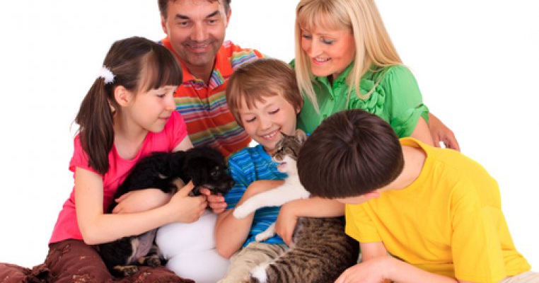 Afla care sunt animalele de companie potrivite pentru copii