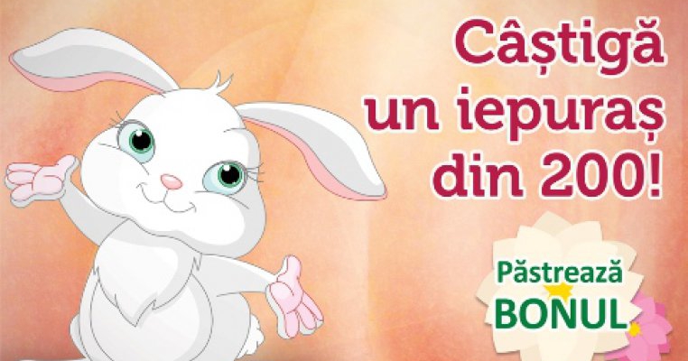 Profesorul Garfield si Targul de Antichitati - atractiile  weekend-ului la Oradea