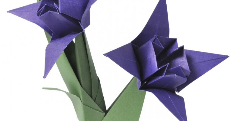 Ateliere de Origami pentru copii cu varste de la 7 la ... 77 ani