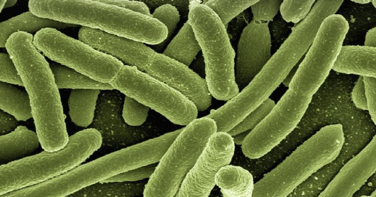 Medicul Tudor Ciuhodaru atrage atenția: infecțiile cu Escherichia coli fac ravagii printre copii și pot fi letale