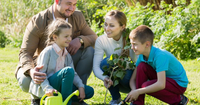 10 activități de familie pe care le puteți face ca să protejați natura