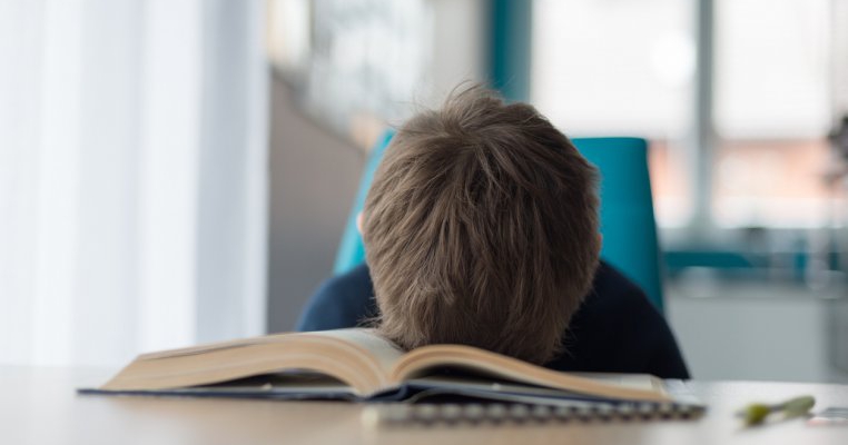 Temele de vacanță nu sunt obligatorii, conform Ministerului Educației